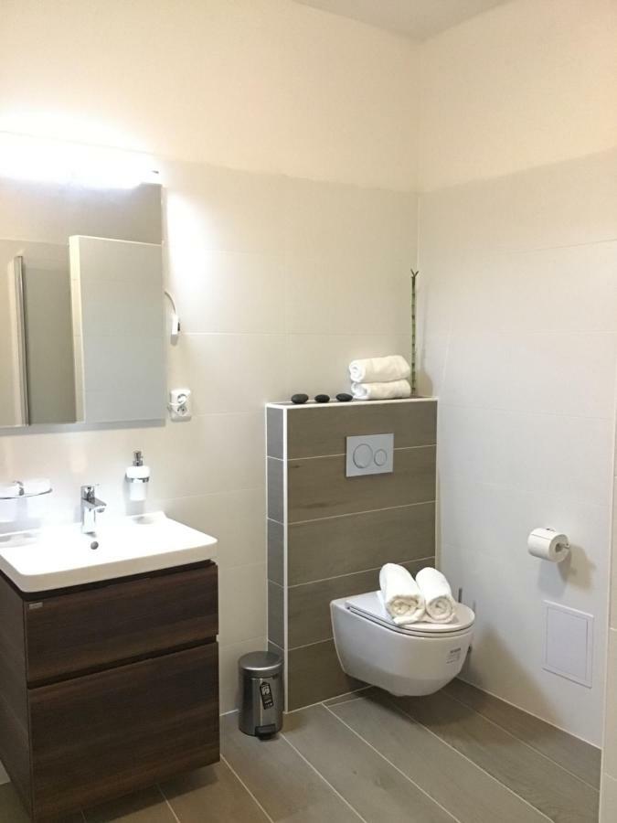 Euro Apartments Lidicka 39 布尔诺 外观 照片